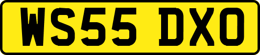 WS55DXO