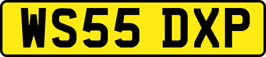 WS55DXP