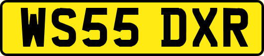 WS55DXR