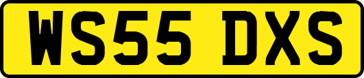 WS55DXS