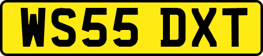 WS55DXT