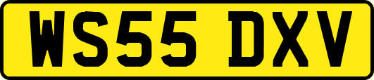 WS55DXV