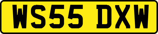 WS55DXW