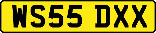 WS55DXX