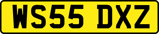 WS55DXZ