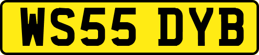 WS55DYB