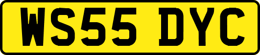 WS55DYC