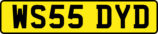 WS55DYD