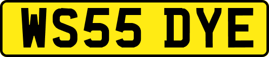 WS55DYE