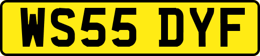 WS55DYF