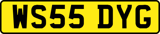 WS55DYG
