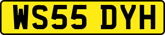 WS55DYH