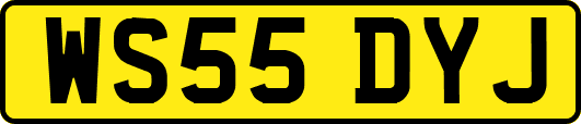 WS55DYJ