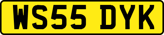 WS55DYK