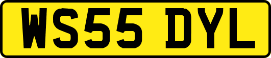 WS55DYL