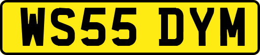 WS55DYM