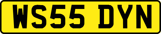 WS55DYN