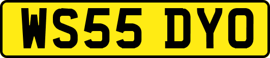 WS55DYO