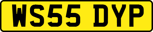 WS55DYP