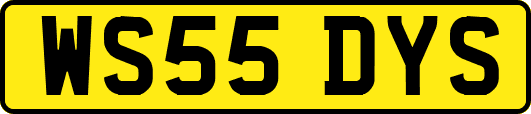 WS55DYS