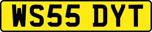 WS55DYT