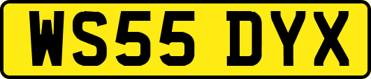 WS55DYX