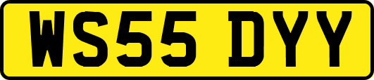WS55DYY