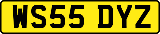 WS55DYZ