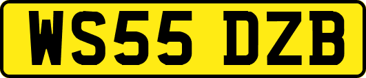 WS55DZB