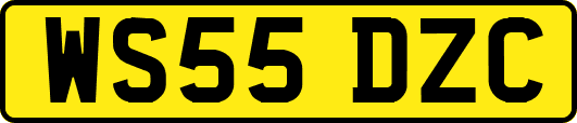 WS55DZC