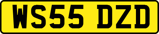 WS55DZD