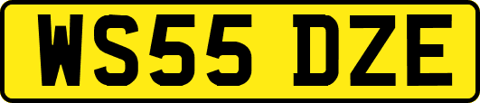 WS55DZE