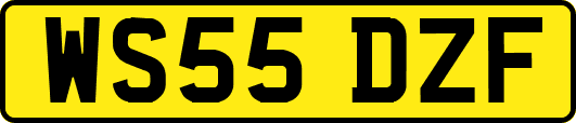 WS55DZF