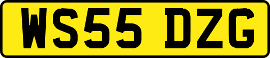 WS55DZG