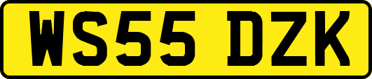 WS55DZK