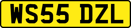 WS55DZL