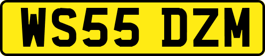 WS55DZM