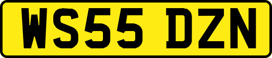WS55DZN