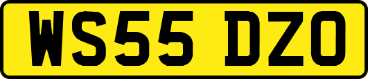WS55DZO