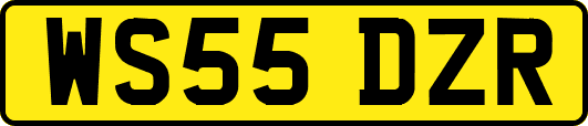 WS55DZR