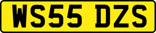 WS55DZS