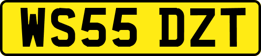 WS55DZT