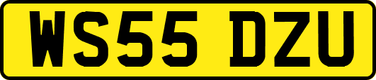 WS55DZU