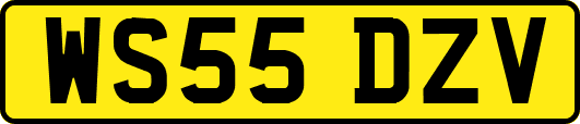 WS55DZV