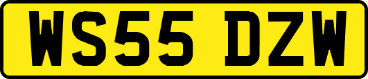 WS55DZW
