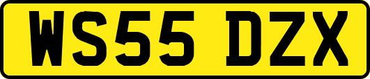 WS55DZX