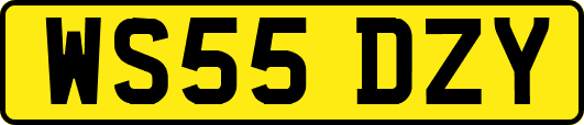 WS55DZY