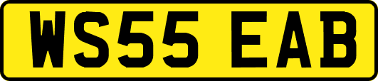 WS55EAB