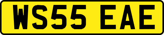 WS55EAE