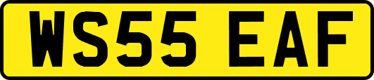 WS55EAF